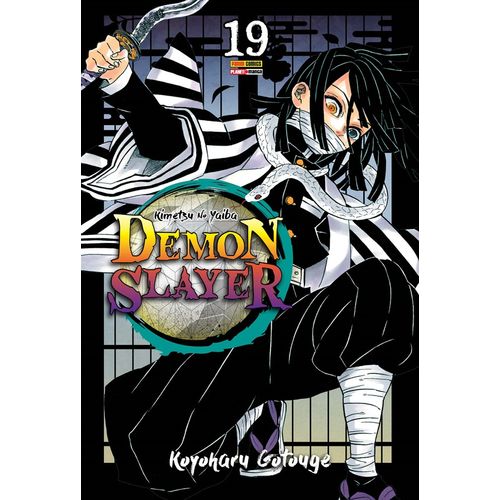 Demon-Slayer---Kimetsu-no-Yaiba---19