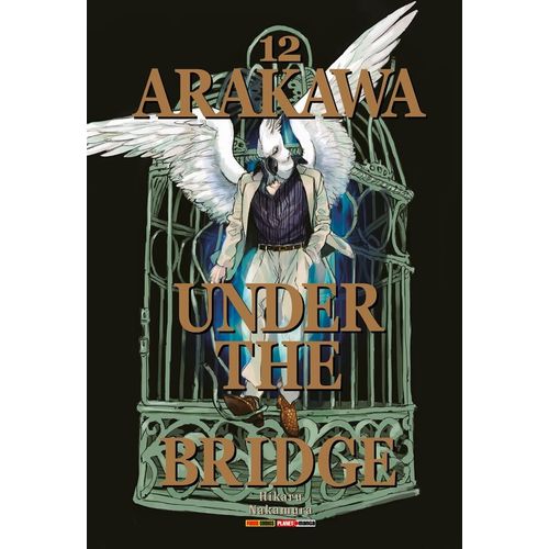 Arakawa-Under-The-Bridge---12