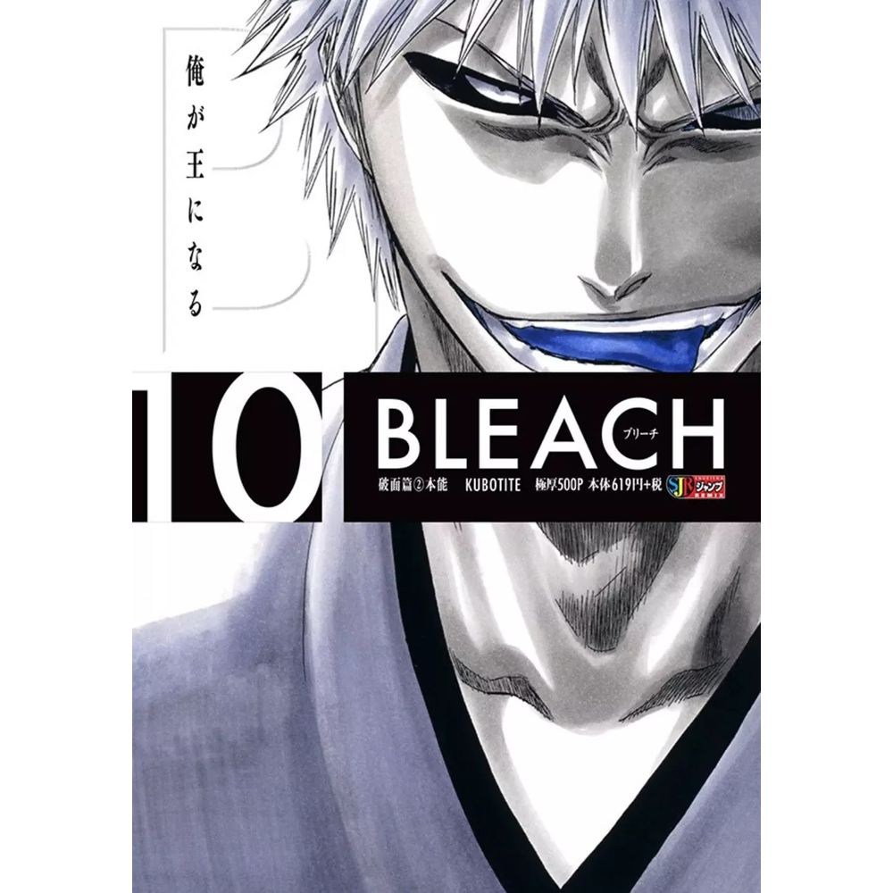 BLEACH Manga Volume 25