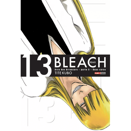 bleach-remix---volume-13